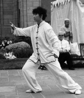Gu Feng Tai Chi Club
