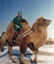 Camel