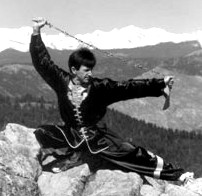 Shaolin Hung Mei Kung Fu Association
